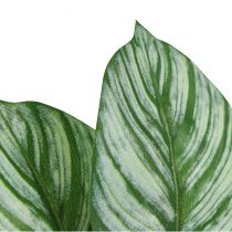 Artikel Calathea Kunstig Kurv Marante Kunstige Planter Grøn 51cm