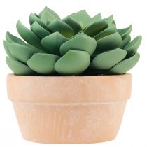 Sukkulent plante i potte Echeveria kunstgrøn Ø15cm