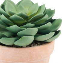 Artikel Sukkulent plante i potte Echeveria kunstgrøn Ø15cm