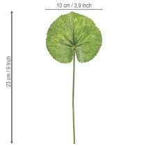 Artikel Galax Urceolata Blade Kunstgrøn Ø10cm L23cm 12 stk