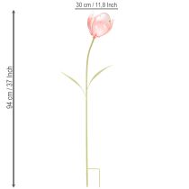 Artikel Havepælsblomst dekorativ tulipan til blomsterbede og kanter 94 cm