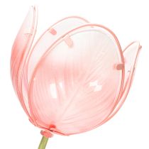 Artikel Havepælsblomst dekorativ tulipan til blomsterbede og kanter 94 cm