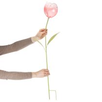 Artikel Havepælsblomst dekorativ tulipan til blomsterbede og kanter 94 cm