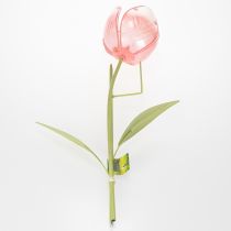 Artikel Havepælsblomst dekorativ tulipan til blomsterbede og kanter 94 cm