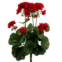 Artikel Geranium busk rød 36cm