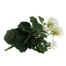 Artikel Geranium busk hvid 38cm