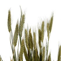Artikel Bygkorn dekoration tør dekoration naturlig 80cm bundt 1 stk