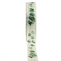 Artikel Gavebånd eukalyptus pyntebånd grønt 25mm 20m