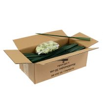 Artikel Opstillingsrør 30cm x 1,5cm 100 stk