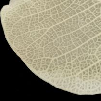 Artikel Tørrede blade dekoration Moneta tør blomstercreme 100g