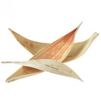 Artikel Kokosskaller, blegede kokosblade, 22-42 cm, 25 stk.