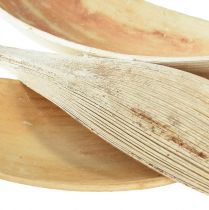 Artikel Kokosskaller kokosblade bleget 22-42cm 25stk