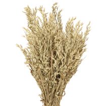 Artikel Tørret havre dekorativt havrebundt naturligt dekorationsbundt 60cm 200g