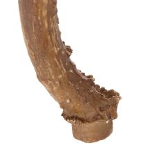 Artikel Kunstige gevirer, naturtro, rustikke, 32 cm