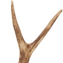 Artikel Kunstige gevirer, naturtro, rustikke, 32 cm