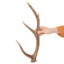 Artikel Dekorative kunstige gevirer, rustik hyttedekoration, 50 cm