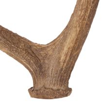 Artikel Dekorative kunstige gevirer, rustik hyttedekoration, 50 cm