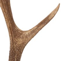 Artikel Dekorative kunstige gevirer, rustik hyttedekoration, 50 cm
