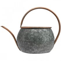 Artikel Metal dekorativ vandkande, vintage landstil, havedekoration, til plantning, sølv kobber, L41cm Ø26cm H30cm