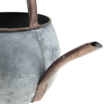 Dekorativ vandkande til udplantning, plantekande 29,5cm H22cm