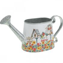 Dekorativ vandkande Metal Plantekasse Sommer Dekor Plantekasse med Fuglehuse H15cm L28cm