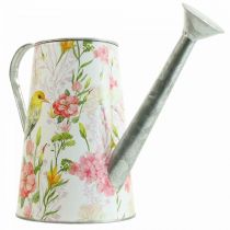 Dekorativ vandkande metal til plantning, plantedunk H22cm