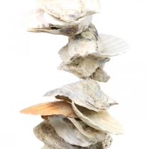 Skalguirlande, maritim sommerdekoration, naturlig skalkæde naturfarver L35cm