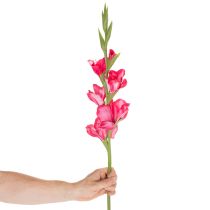 Artikel Kunstig gladiolase med dekorative blomster, 88 cm