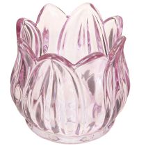 Artikel Glas fyrfadsstage fyrfadslys glas tulipan lilla Ø7cm H7cm 2stk
