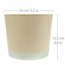 Artikel Glasurtepotte beige plantekrukke glaspotte Ø14,5cm H12,5cm