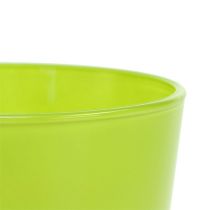 Artikel Plantekasse lysegrøn i glas Ø11,5 H11cm