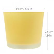 Artikel Glasurtepotte gul plantepotte glasbalje Ø14,5cm H12,5cm