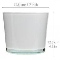 Artikel Glasurtepotte hvid plantekasse glasbalje Ø14,5cm H12,5cm
