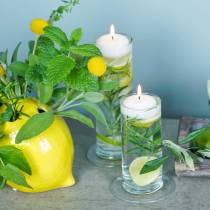 Artikel Glasvase med fod, klar, Ø6 cm, H25 cm