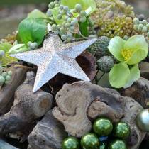 Artikel Glitterstjernechampagne 9,5/5cm 18 stk