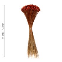 Artikel Tørrede blomsterbuketter, en charmerende tilføjelse til vaser eller arrangementer, 44 cm