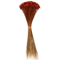 Artikel Tørrede blomsterbuketter, en charmerende tilføjelse til vaser eller arrangementer, 44 cm
