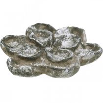 Gravdekoration, betondekoration, havedekoration, betonrose Ø21cm