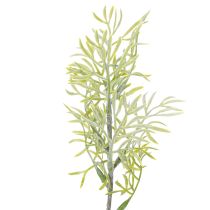 Artikel Prydet aspargesgren, naturlig tilføjelse til blomsterbuketter, 34 cm, 7 stk.