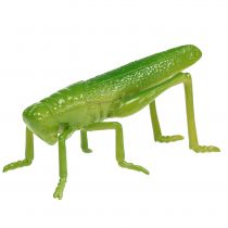 Græshoppegrøn 11cm 1p