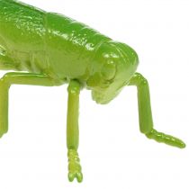 Græshoppegrøn 11cm 1p