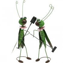 Artikel Græshoppe havefigur metal dekoration cricket med rive og spade H33 cm sæt med 2