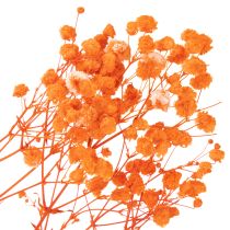 Artikel Tørrede blomsterbuket med babyånde Gypsophila 75 cm 100 g