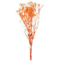 Artikel Tørrede blomsterbuket med babyånde Gypsophila 75 cm 100 g