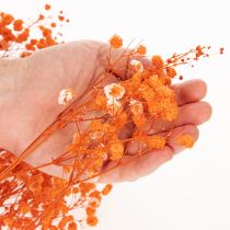 Artikel Tørrede blomsterbuket med babyånde Gypsophila 75 cm 100 g
