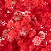 Artikel Tørret babyånde (Gypsophila) bundt 75 cm 100 g