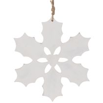 Artikel Kristtorn-julepynt, juledekoration til ophængning, 26 cm