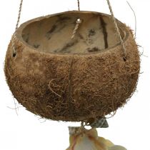 Kokosskål med skaller, naturlig planteskål, kokosnød som hængekurv Ø13,5/11,5 cm, sæt med 2 stk.