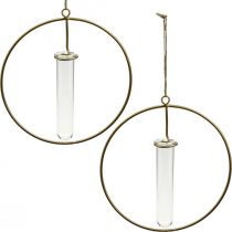 Dekorativ ring til ophængning af reagensglas gyldent metal Ø16cm 4stk