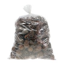 Artikel Halepensis kegler naturlig 5kg